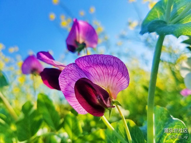 每周精帖匯【第41期： 】