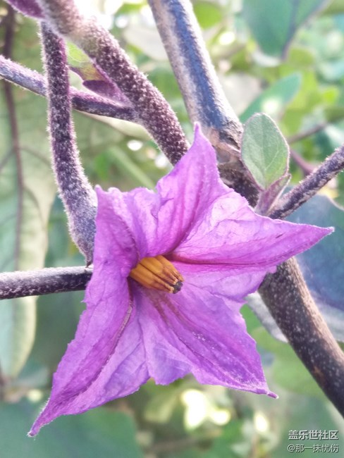 C7剛買拍的照片