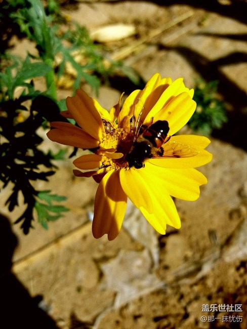 C7剛買拍的照片