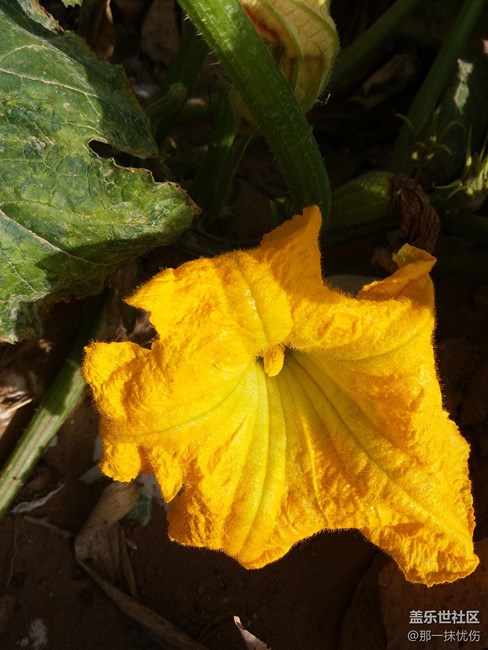 C7剛買拍的照片