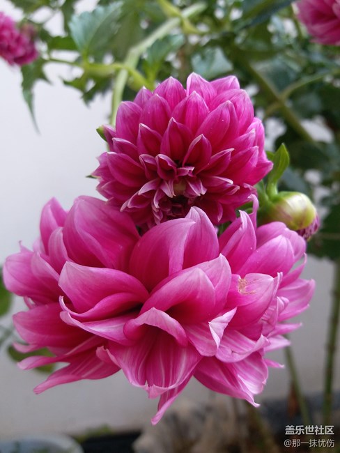 C7剛買拍的照片