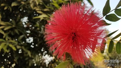 公園隨拍 第二期