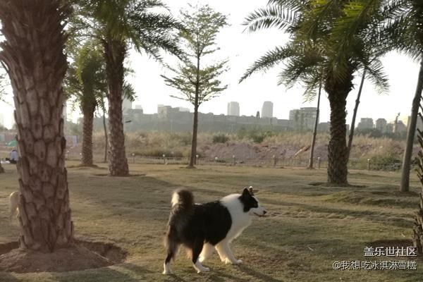 春風(fēng)十里不如你