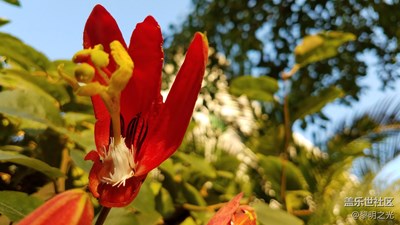 公園隨拍 第一期