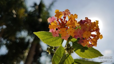 公園隨拍 第四期