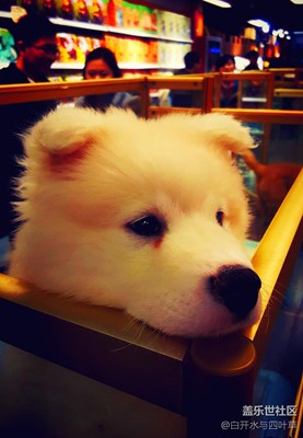 窗外+北京+你在我窗外，我在你窗外