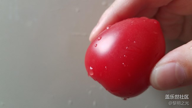 圣女果 微距拍攝