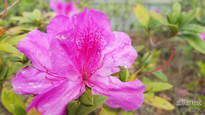 公園隨拍 第五期