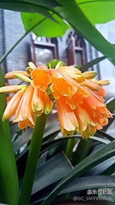 Note5拍花