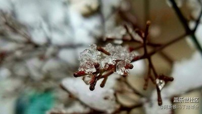 再分享幾張前幾個(gè)月拿手機(jī)拍的照片