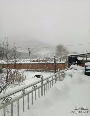 初春的季節(jié)，嚴(yán)冬的景象