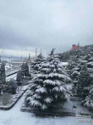 下雪了嗎？