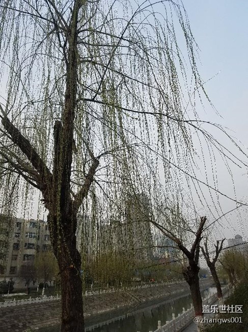 二月春風(fēng)似剪刀