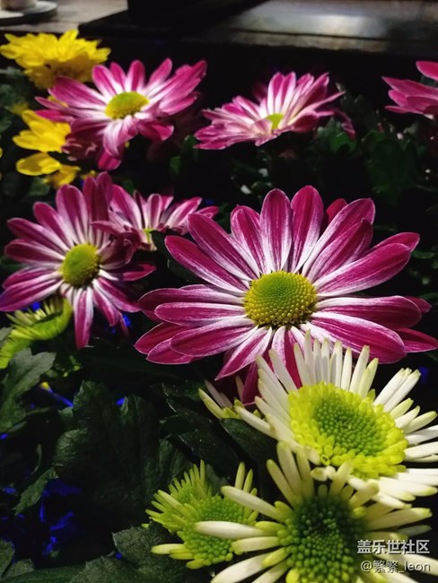 “剛剛好”的美好：三星 Galaxy C7 Pro新機(jī)體驗