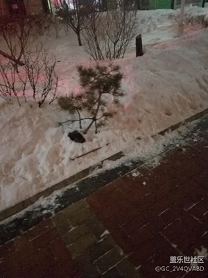 雪