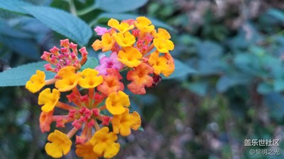 公園隨拍 第七期