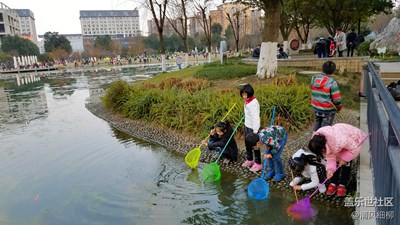 春來了+成都市+游春圖
