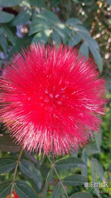 攀枝花隨拍