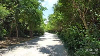 春來了，南寧，看法不一致的春天