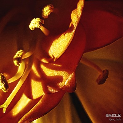 春來了 + 哈爾濱 +我的春季就沒走。