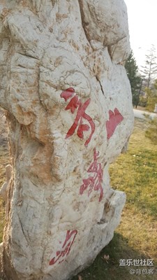 枯花：你妹啊我都這樣了還拍我