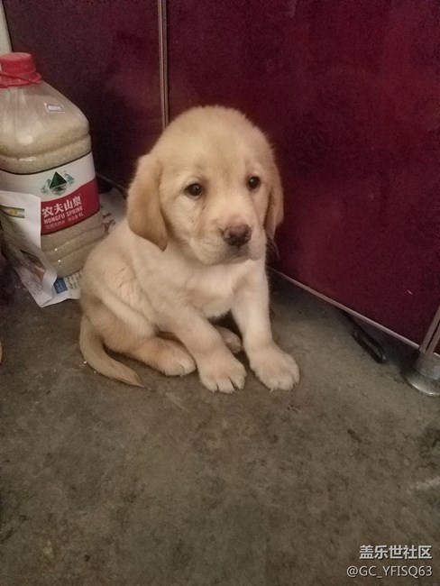 都是好人，