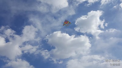 翱翔的蝴蝶、飛機(jī)、