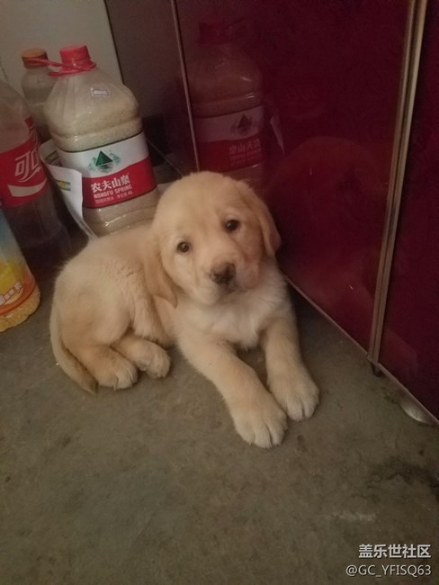 都是好人，