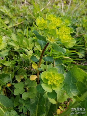 今天更新后拍的，不知道效果如何