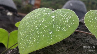春