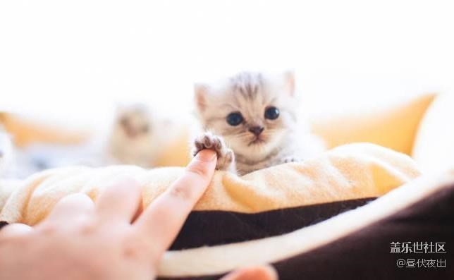 【3月第二周話題】曬曬你認為手機里最有愛的一張照片