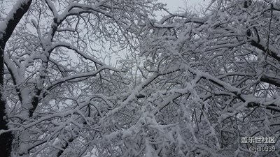 風(fēng)云+寶雞+雪舞漫天