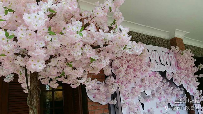 亞洲第一“星”