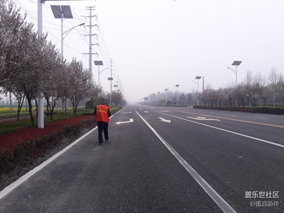 風(fēng)云+駐馬店+花好如畫