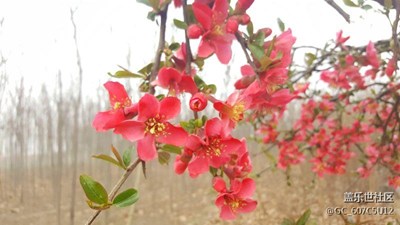 春天來了