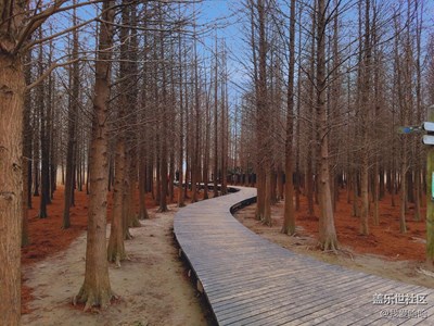 上海崇明島之行