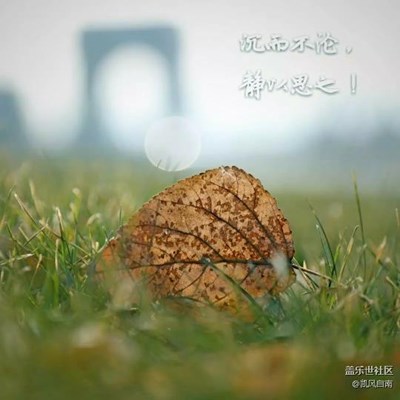 沉而不淪，靜以思之！