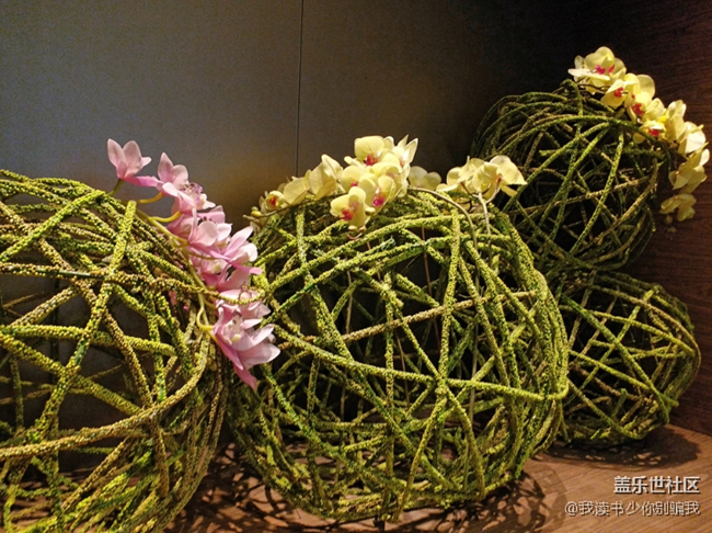 小女子實(shí)習(xí)不忘狂曬圖 三星C5 PRO成了好幫手