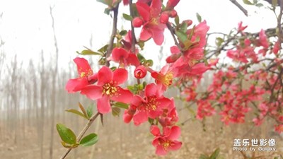 情竇初開