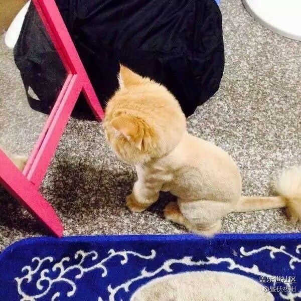 額。要不要這么忙
