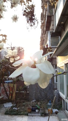 春天來(lái)了