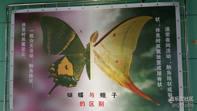 分享一下上海昆蟲博物館參觀心得