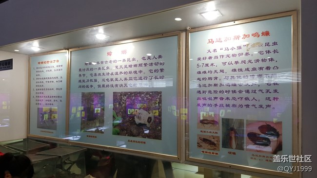 分享一下上海昆蟲博物館參觀心得
