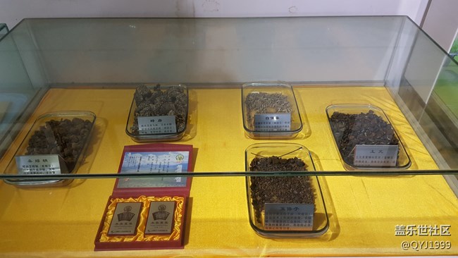 分享一下上海昆蟲博物館參觀心得