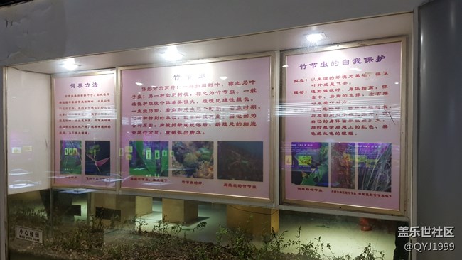 分享一下上海昆蟲博物館參觀心得