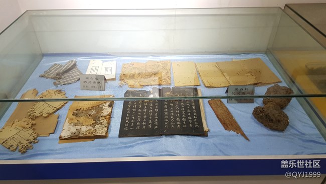 分享一下上海昆蟲博物館參觀心得