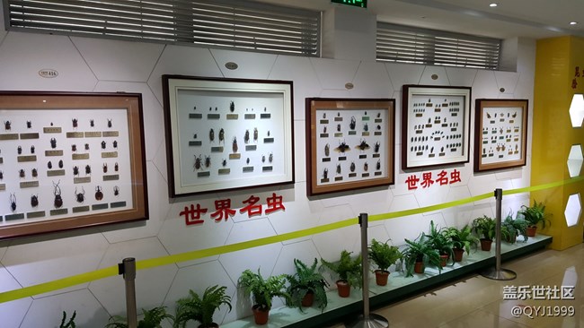 分享一下上海昆蟲博物館參觀心得