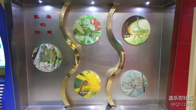 分享一下上海昆蟲博物館參觀心得
