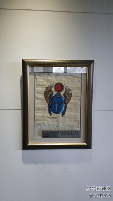 分享一下上海昆蟲博物館參觀心得