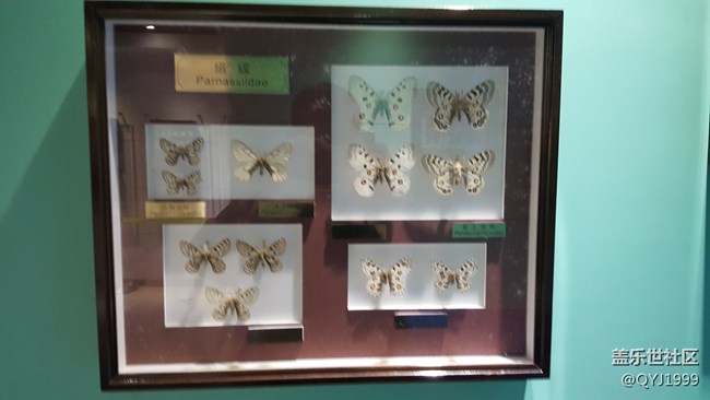 分享一下上海昆蟲博物館參觀心得